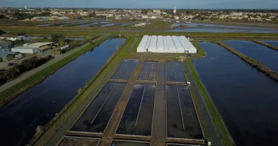 Un Œil sur demain : la renaissance de Thomas, grand brûlé, grâce aux vers marins ?