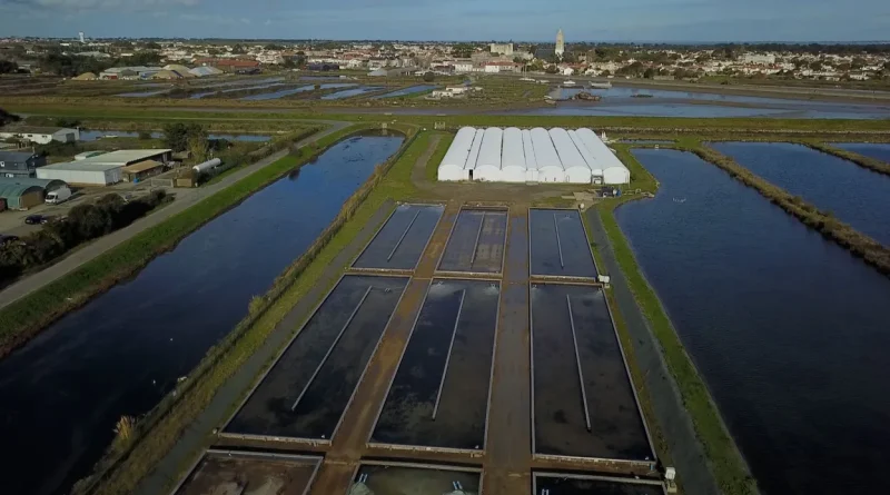 Un Œil sur demain : la renaissance de Thomas, grand brûlé, grâce aux vers marins ?