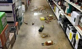 Un raton laveur cambriole un magasin d'alcool aux Etats-Unis et finit ivre mort.