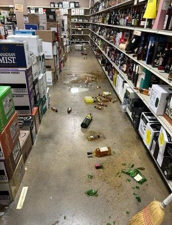 Un raton laveur cambriole un magasin d'alcool aux Etats-Unis et finit ivre mort.