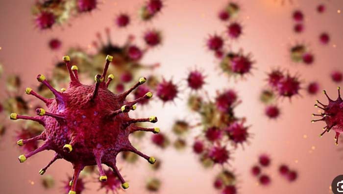 Un virus familier ne se profile pas avec une dynamique inédite.