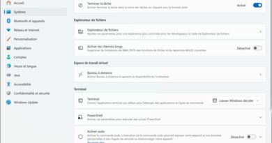 Une option méconnue de Windows 11 ne change pas la vie lors d'un plantage.