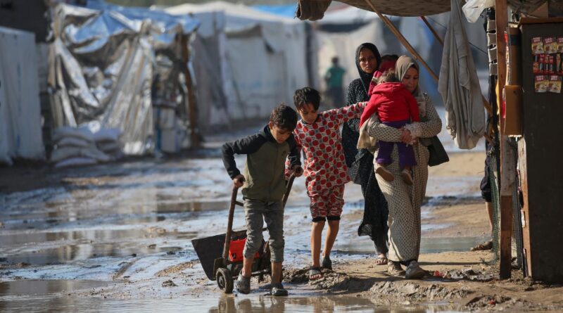 Vagues de froid à Gaza : 25 décès enregistrés en décembre.