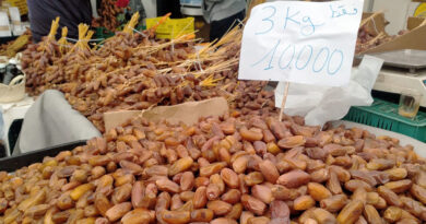 Vente de dattes : délices des oasis à prix dérisoires.