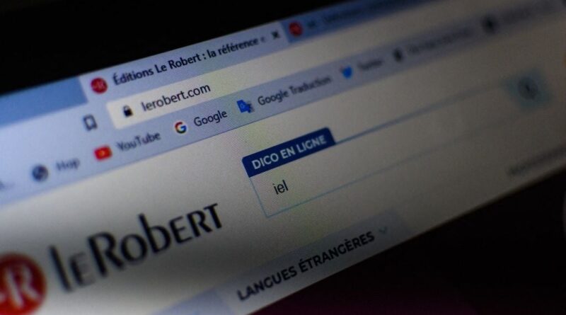 "Wesh" et "masculinisme" dans le top 10 du Robert