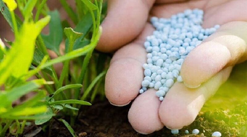 60 tonnes d’ammonitre arrivent à Medjez el Bab pour les agriculteurs.