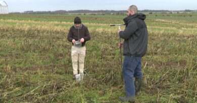 78% des sols agricoles wallons contaminés aux insecticides, y compris les non traités.