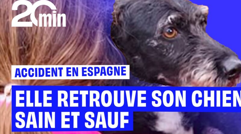 Accident de trains en Espagne : Une rescapée retrouve son chien quatre jours après