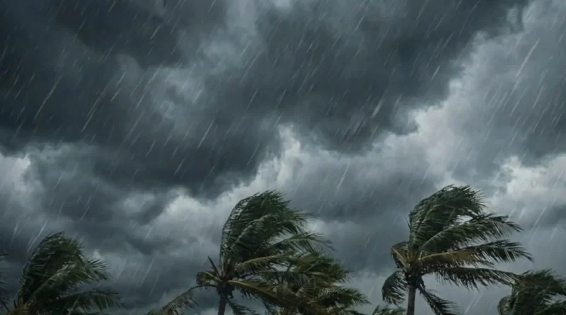 Algérie : suspension des cours dans plusieurs wilayas à cause de vents violents