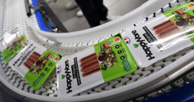Alimentation : HappyVore, numéro 1 des ventes végétales en France, devant Nestlé ?