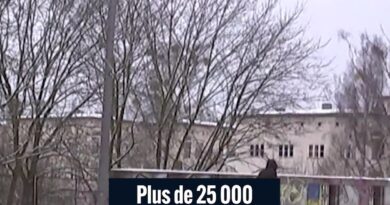 Allemagne : un million d'euros pour identifier les responsables du black-out de Berlin.