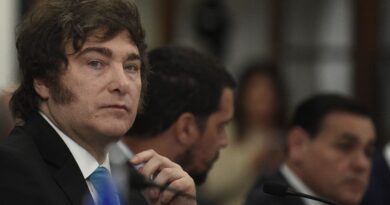 Argentine : Javier Milei appelle à un bloc contre le « cancer du socialisme »