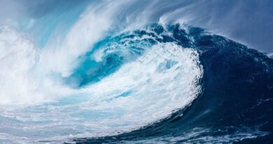 Argentine : Une vague géante tue un jeune homme en France