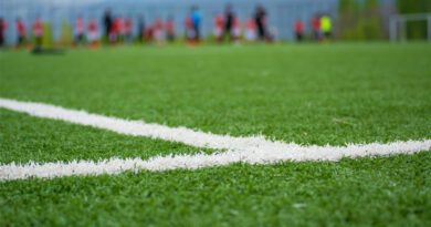 Au fait du jour : Changement de baudet nécessaire !