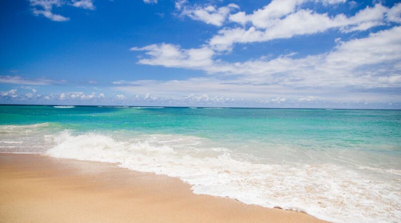 Australie : Restes humains trouvés sur une plage après la disparition d'un plongeur
