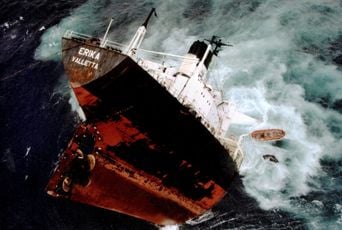 Bretagne : Oiseaux mazoutés retrouvés, l'Erika soupçonné 26 ans après