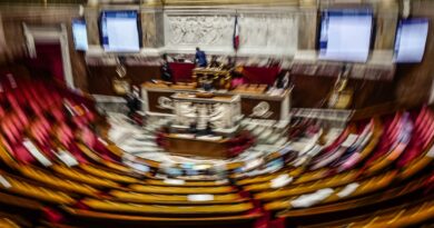 Budget 2026 : 1,7 million d'euros gaspillés par jour avec le 49.3 ?