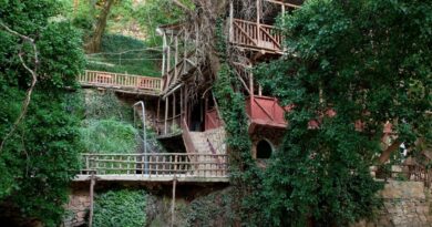 Bulle, cabane, prison : Pourquoi les adultes n'ont-ils plus besoin de logements insolites ?