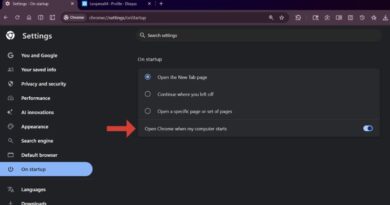 Chrome peut ralentir le démarrage de Windows avec cette option.
