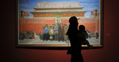 "Chute brutale de natalité en Chine : cinq questions sur le déclin démographique"