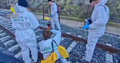 Collision mortelle entre deux TGV en Espagne : tragédie inexpliquée