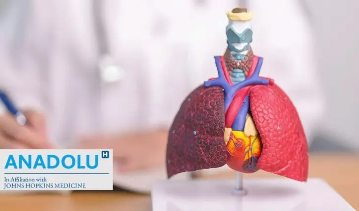 Comprendre l’asthme : diagnostic, risques et prise en charge expliqués.