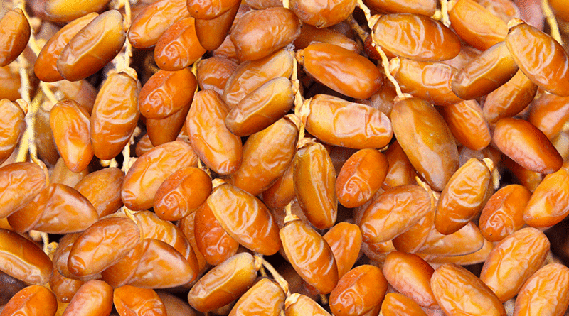 Dattes : vente directe avec prix de 4 à 9 dinars.