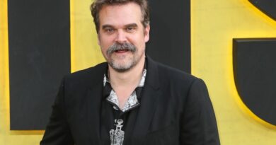 David Harbour ne tourne plus son prochain film après « Stranger Things »
