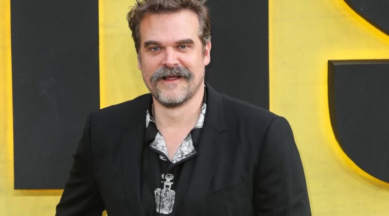 David Harbour ne tourne plus son prochain film après « Stranger Things »