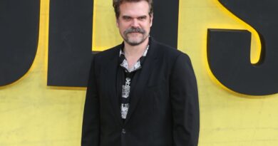David Harbour : « Pas de formule miracle » pour la santé mentale