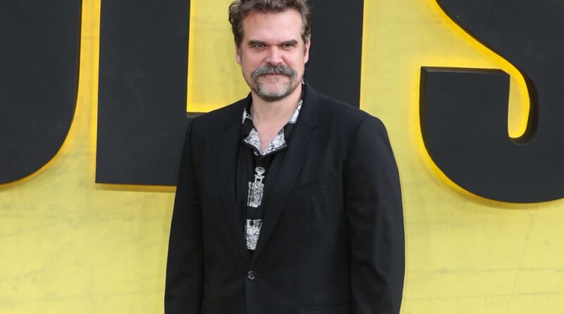 David Harbour : « Pas de formule miracle » pour la santé mentale
