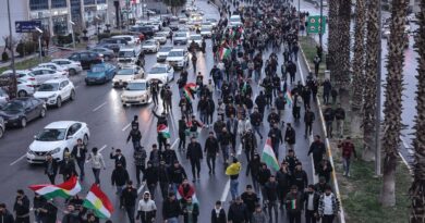 Décès de manifestants et coupure d’Internet : situation en Iran décryptée