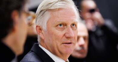 Des escrocs se font passer pour le roi Philippe : enquête ouverte.