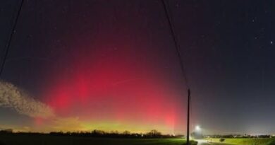 Des traînées vertes et roses dans le ciel belge : vos photos d'aurores boréales.