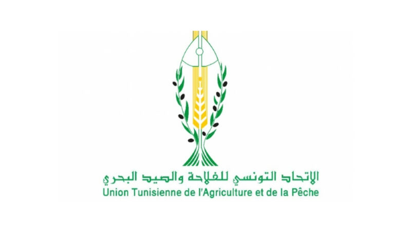 Détournement de fonds à l’UTAP : Abdelkarim Slimane condamné à prison