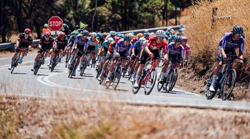 Deux kangourous ne passent pas inaperçus dans le peloton du Tour Under Down