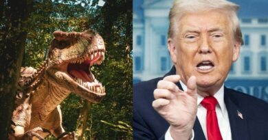 Donald Trump : « C’est un T-Rex » comme le roi des dinosaures ?