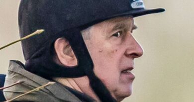 E-mails et photos réactivent les soupçons contre l’ex-prince Andrew dans l’affaire Epstein. E-mails et photos réactivent les soupçons contre l'ex-prince Andrew dans l'affaire Epstein.