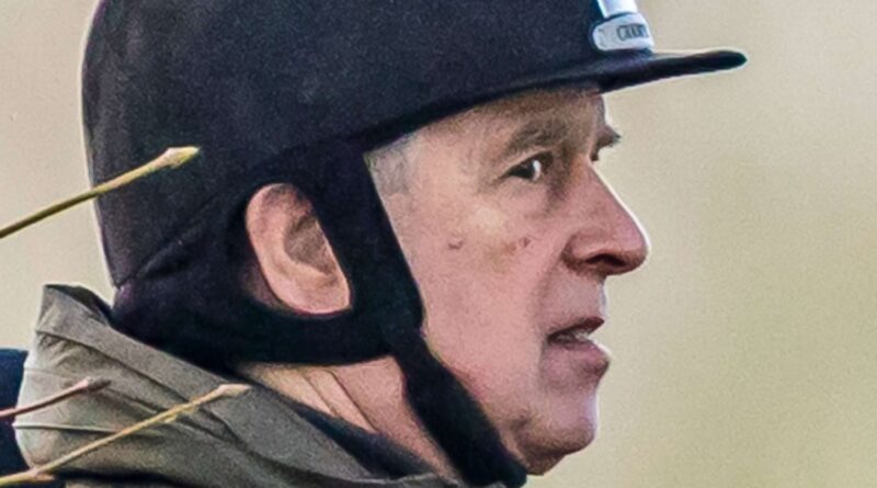 E-mails et photos réactivent les soupçons contre l'ex-prince Andrew dans l'affaire Epstein.