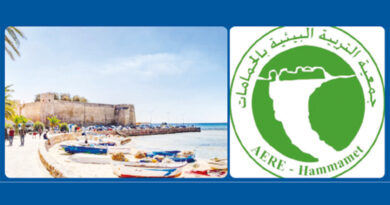 Emplois verts : Chômage et éco-entrepreneuriat en transition