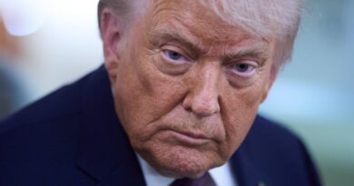 En carte : Les pays qui ont rejoint ou refusé le « Conseil de la paix » de Trump