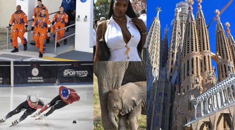 En images : Eclipse totale, JO d'hiver… Dix raisons de se réjouir en 2026