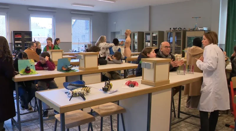 Enseignement secondaire : les écoles ne séduisent pas les élèves.