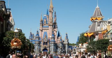 États-Unis : employé de Disney blessé par faux rocher de 180 kg
