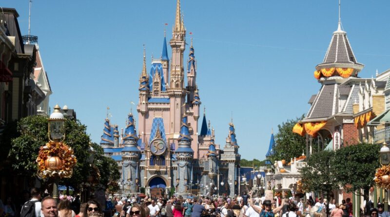 États-Unis : employé de Disney blessé par faux rocher de 180 kg