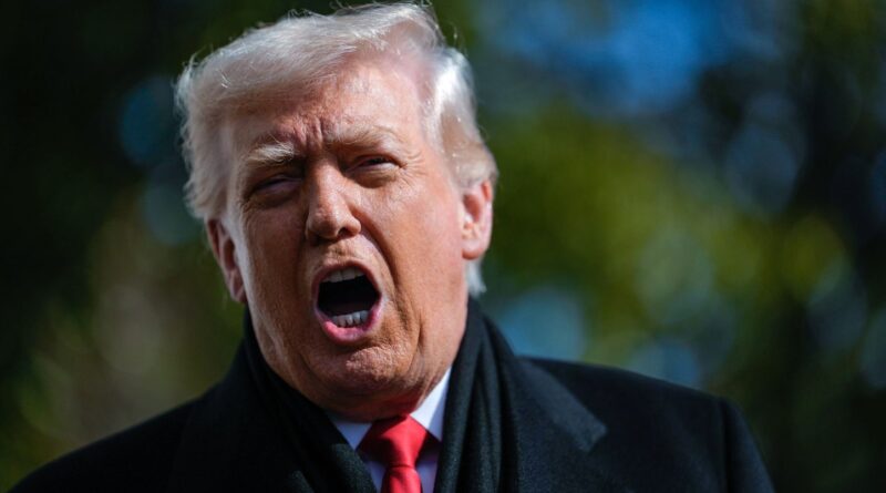 États-Unis : Fin de la « petite désescalade » à Minneapolis, Trump ravive sa rhétorique incendiée.