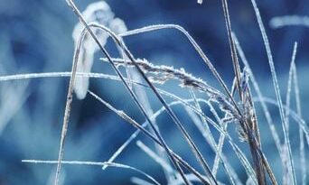 États-Unis : Mère inculpée, ses filles de 3 et 8 ans dehors à -13 °C