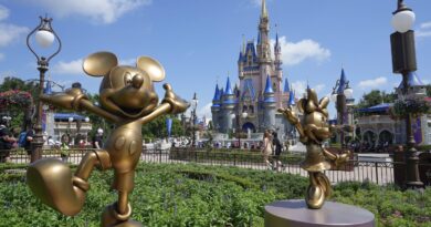 Etats-Unis : Un employé de Disney World sauve des spectateurs blessés par un faux rocher de 180 kg.