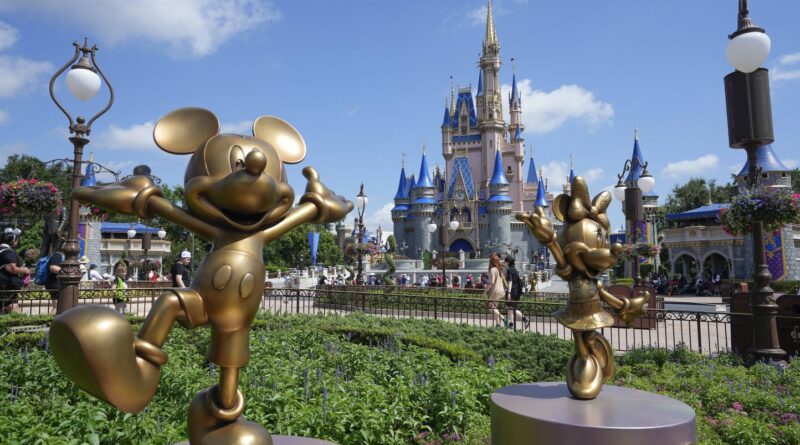 Etats-Unis : Un employé de Disney World sauve des spectateurs blessés par un faux rocher de 180 kg.