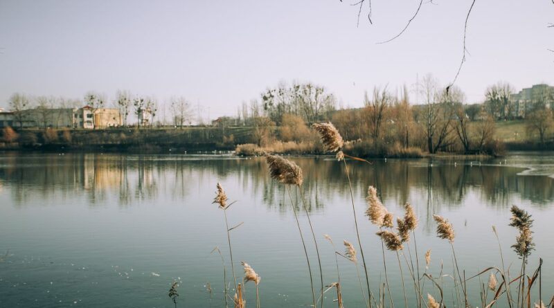 Etats-Unis : Un garçon autiste de 6 ans sauvé le 25 décembre dans un étang